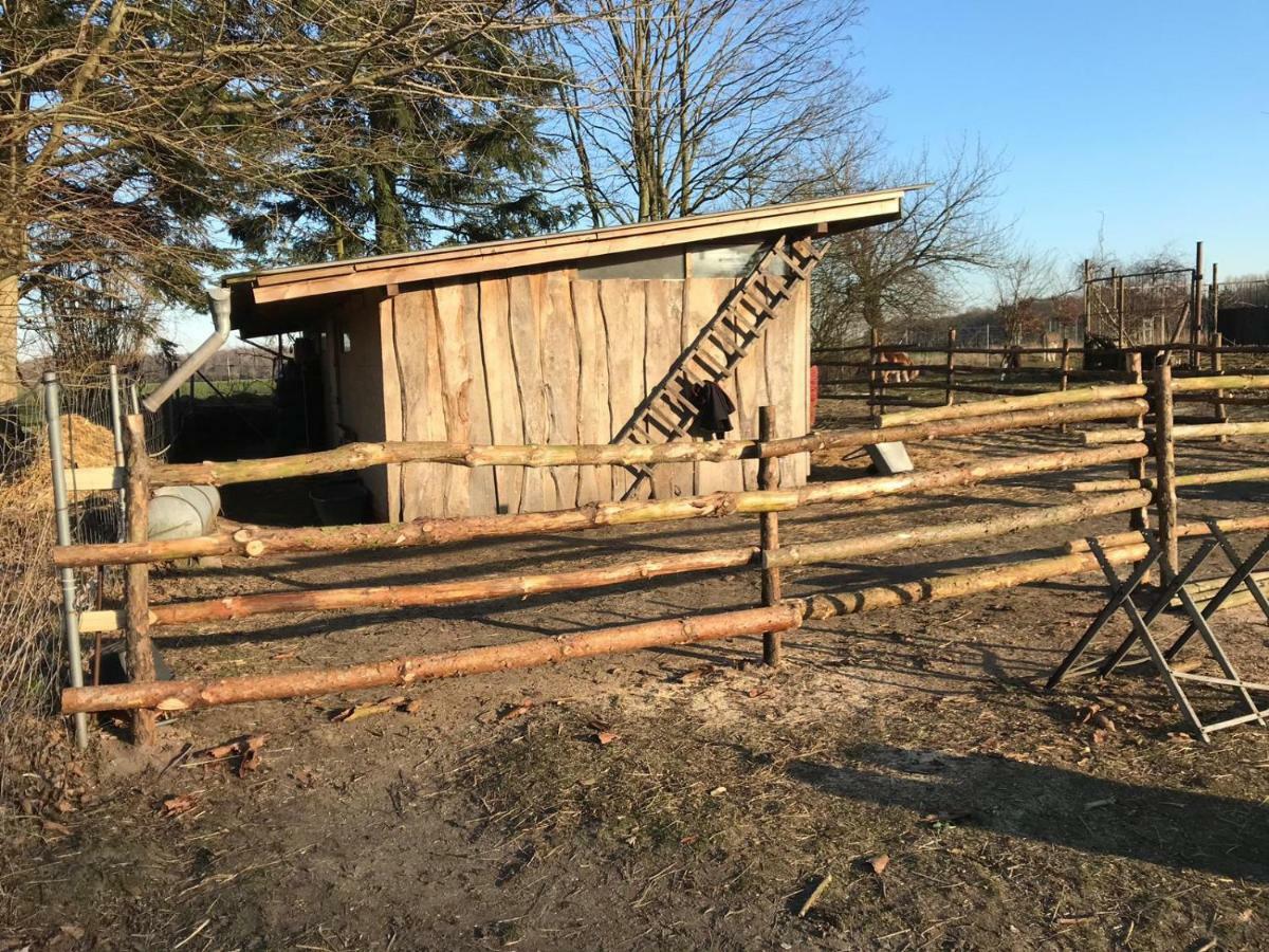 Landhaus Chlosta Buttelkow Exteriér fotografie